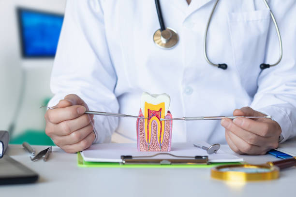 Best Emergency Dental Services for Seniors in Fern Acres, HI